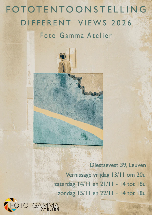 Flyer DV 2026